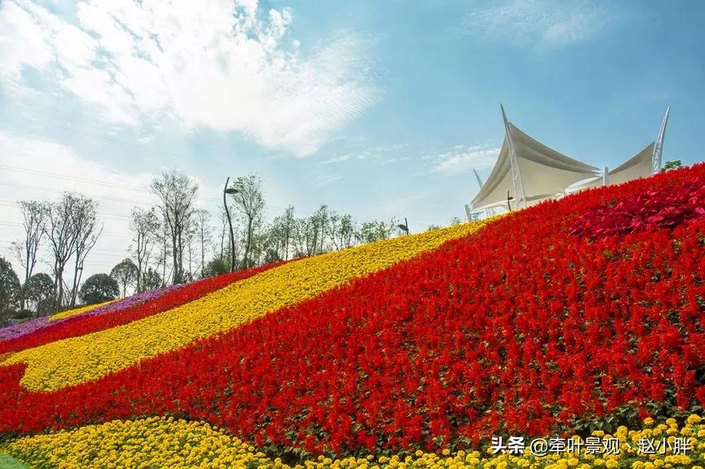 踏春寻美景,踏春赏花梯田漫步