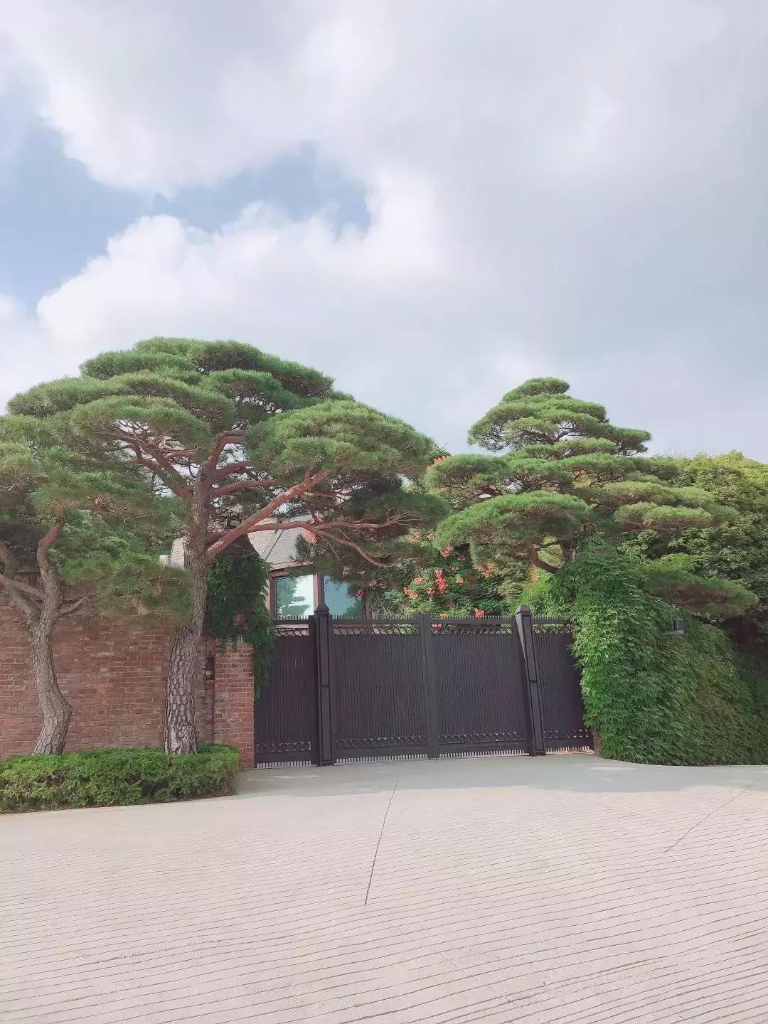 首尔探店100个必去的店,首尔值得逛店