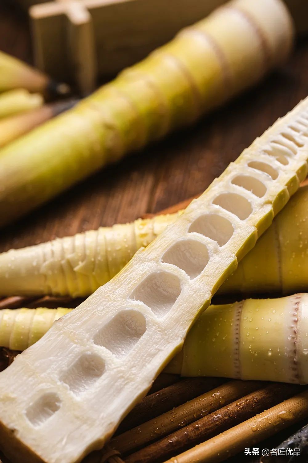 人吃的笋和大熊猫吃的笋一样吗,春笋是大熊猫吃的吗为什么