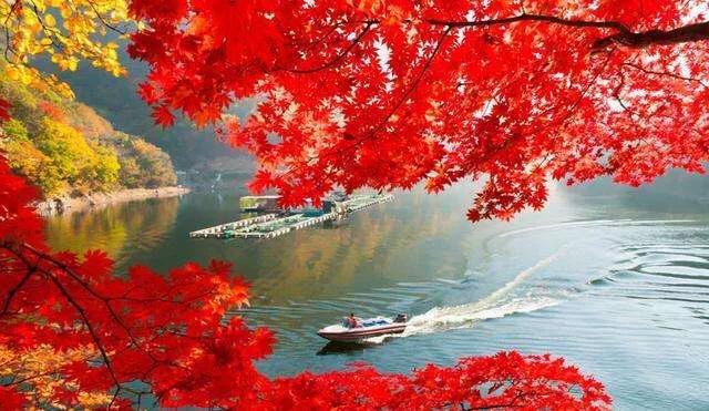 辽宁有个城市叫什么新市,辽宁有个城市叫葫芦岛吗