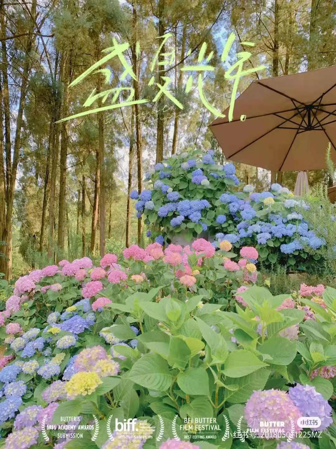 昆明春天赏花航拍,昆明添一赏花打卡点