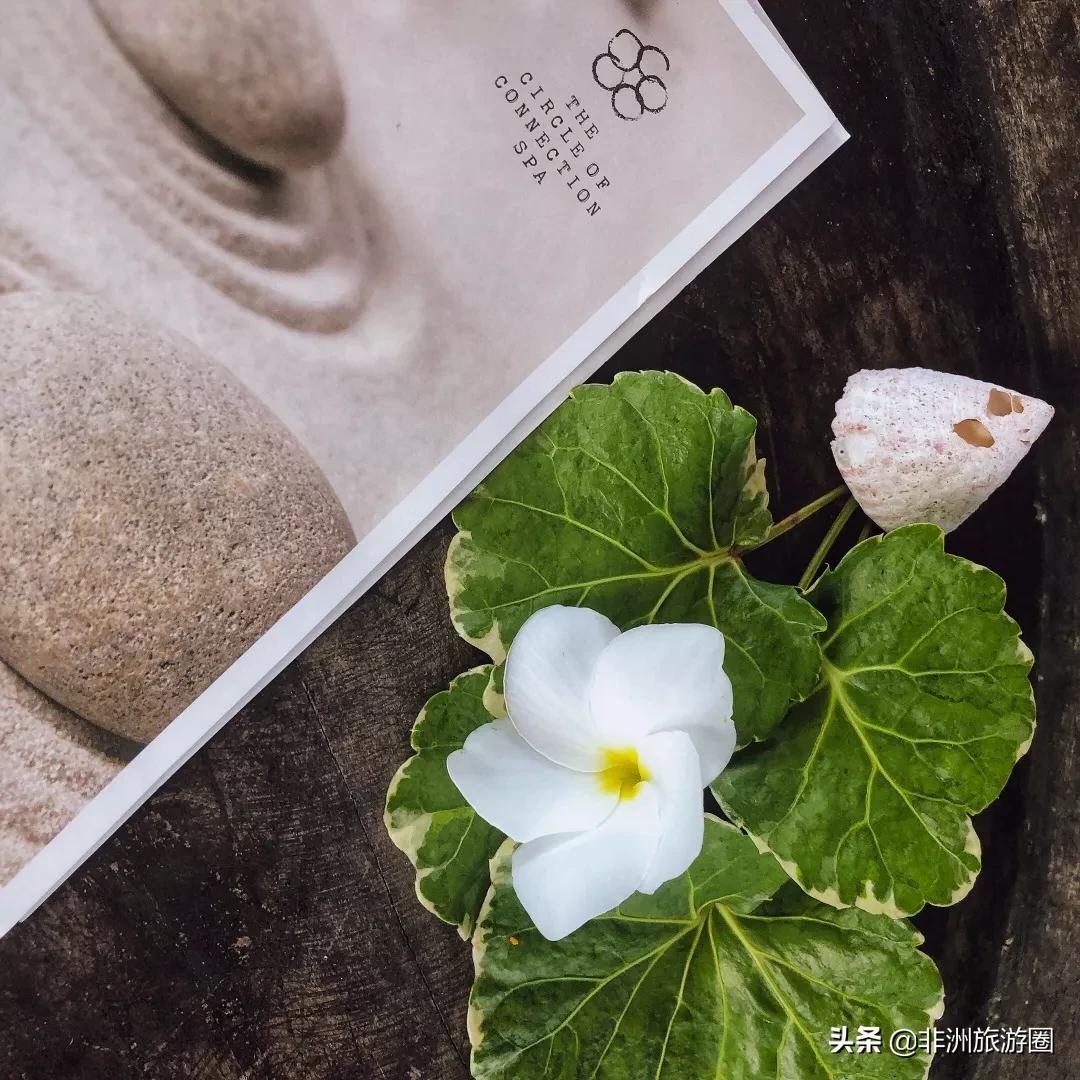 塞舌尔旅行体验,塞舌尔海岛游记