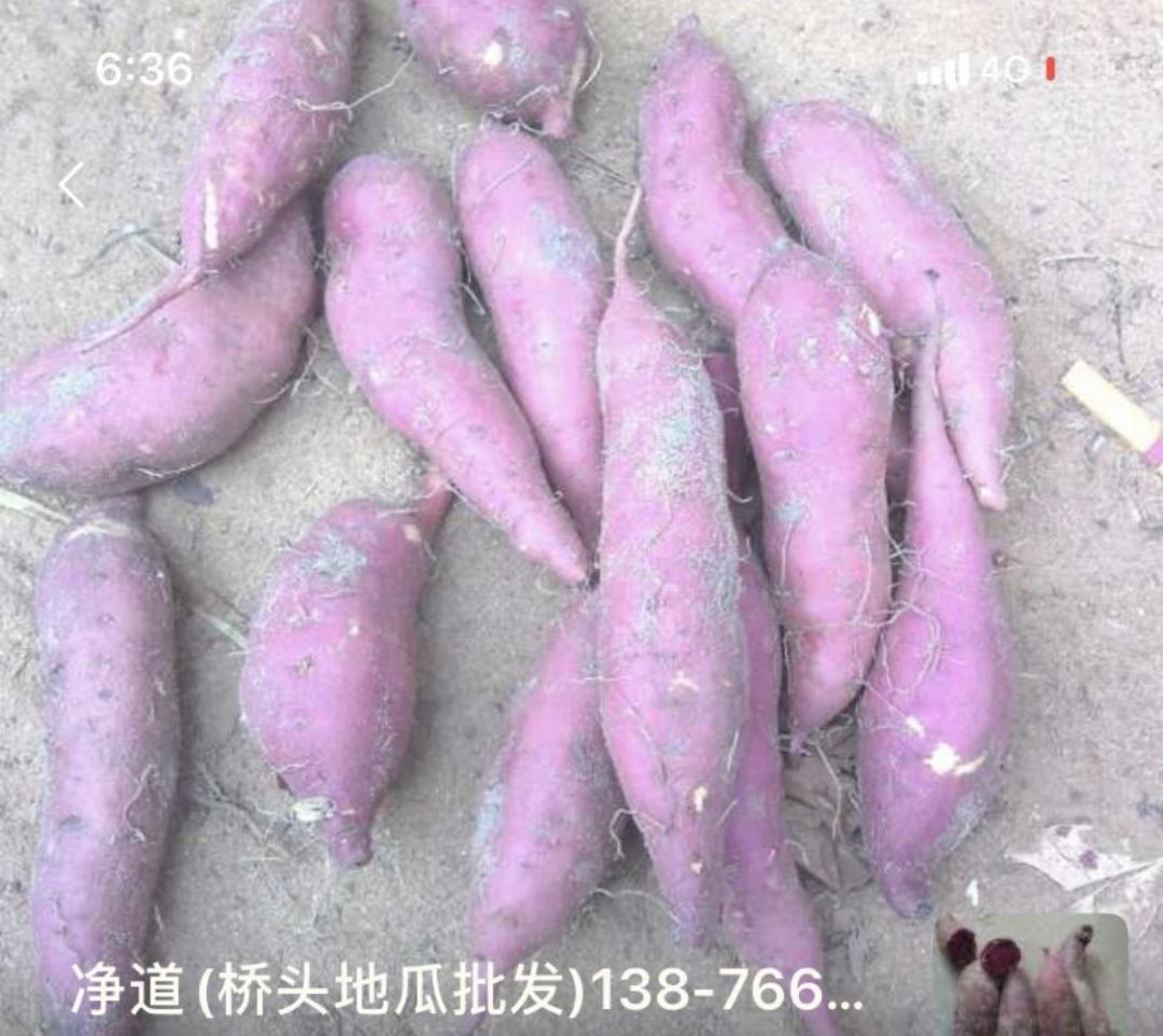 便宜的农副产品干货,冷门的农副产品