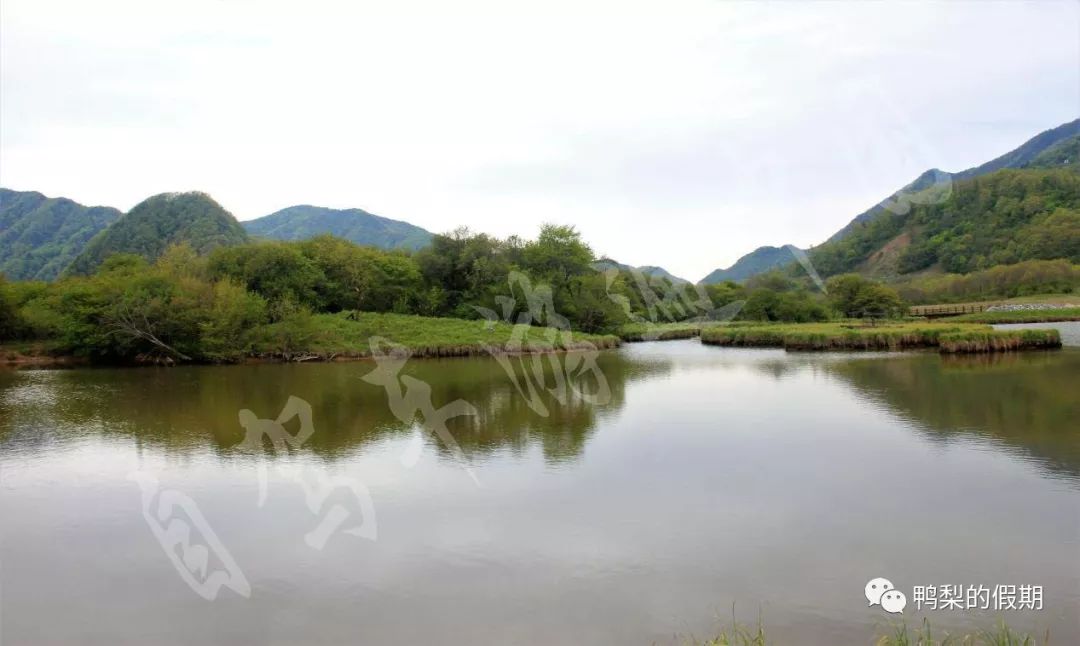 自驾车游遍中国之（一）——世界那么大，我想去神农架