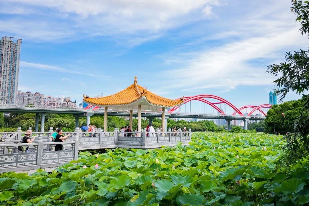最美湖泊小众风景,最美湖泊西湖