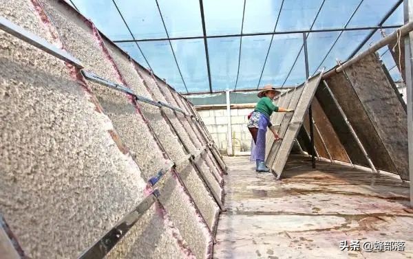 旧木头回收都干什么用,旧木头回收价值