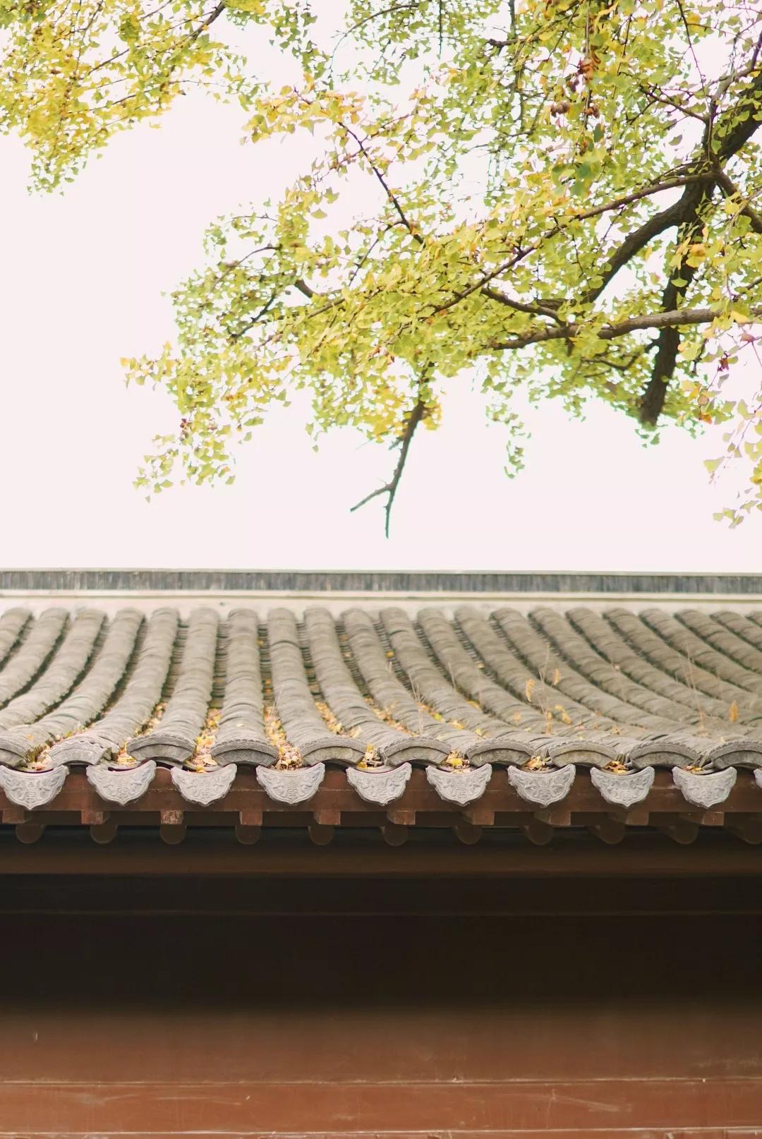 汉服体验打卡,免费体验汉服