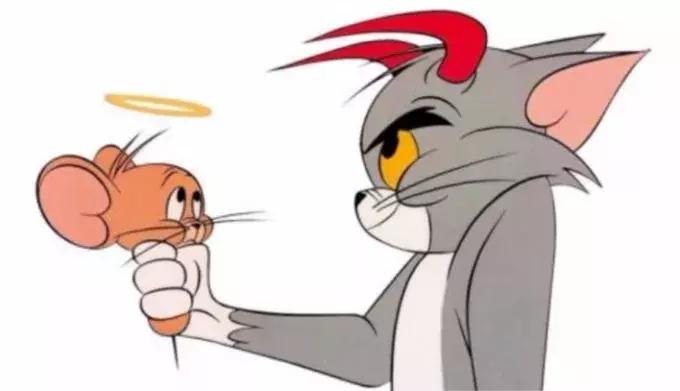 成都人专属沙雕节目清单,你看过几个?