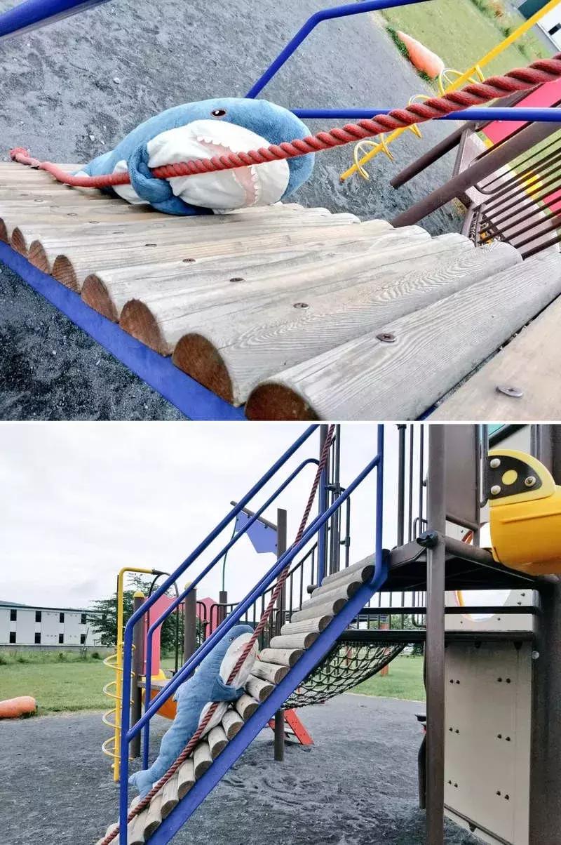 日推网友分享：被幸福饲养的鲨鱼宝宝，每一张都戳中萌点