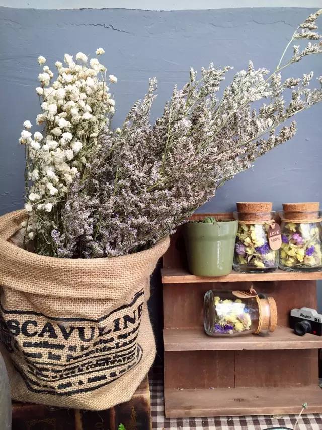 梦想改造家小户型,农村庭院改造效果图大全