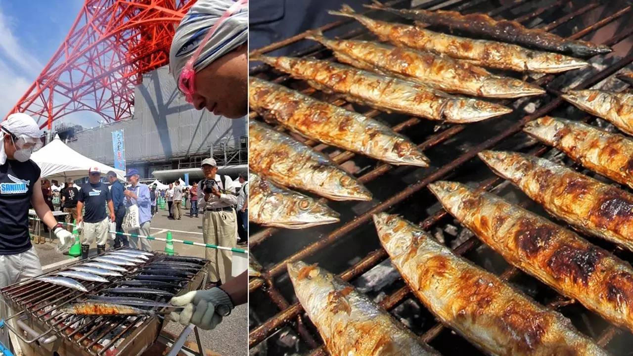 秋刀鱼日本人为啥吃不起,日本人的秋刀鱼为什么这么便宜