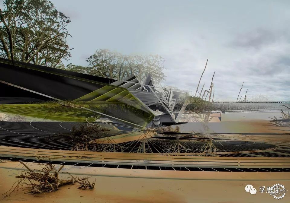 飓风住宅，美国路易斯安那/MargotKrasojevićArchitects