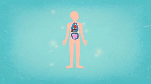 喝茶过多对肾脏有什么影响,喝茶会对肾脏危害吗