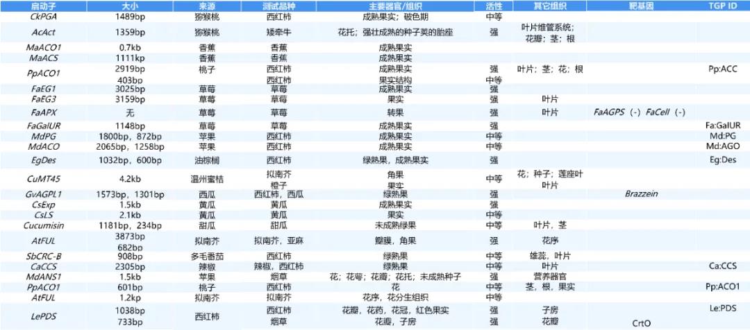 进来抄作业，启动子要这么选