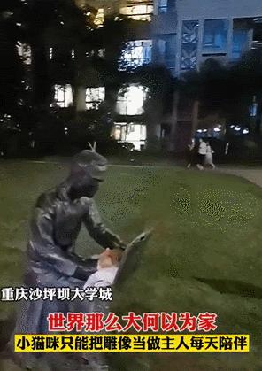 俄罗斯猫敢惹吗,俄罗斯猫有多凶猛