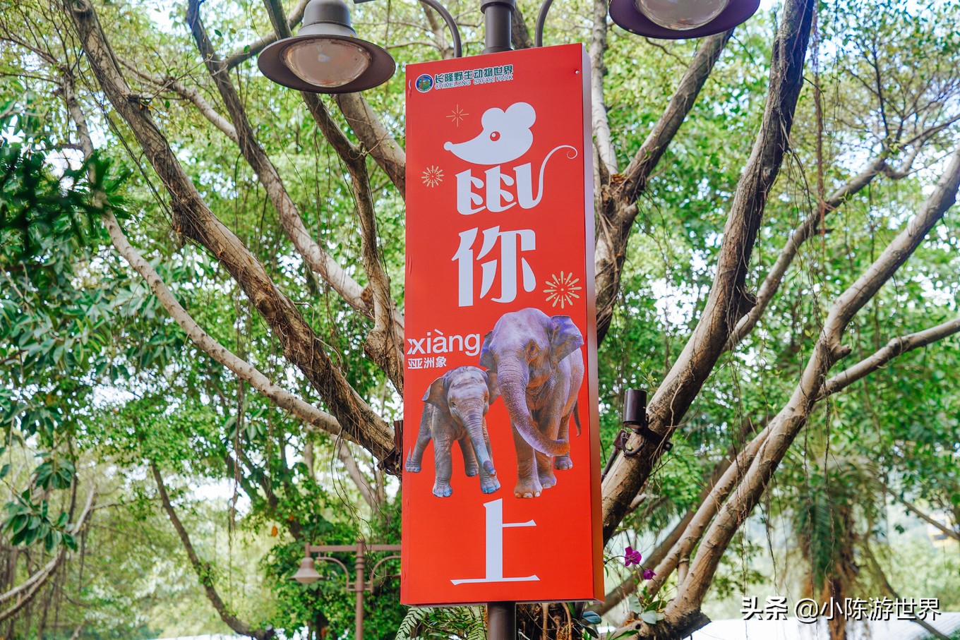 寒假广州长隆三天两夜亲子游攻略,带孩子广州长隆旅游攻略