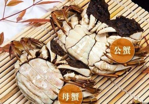 买螃蟹怎么挑选肥的,如何挑选螃蟹注意事项