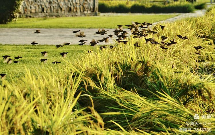 玉泉山北坞公园介绍,北坞村玉泉山