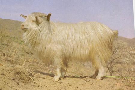 中国城市|辽宁省—鞍山市