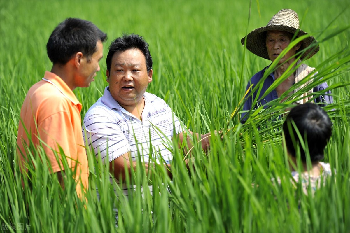 网购一瓶农药,农药经销商卖假农药