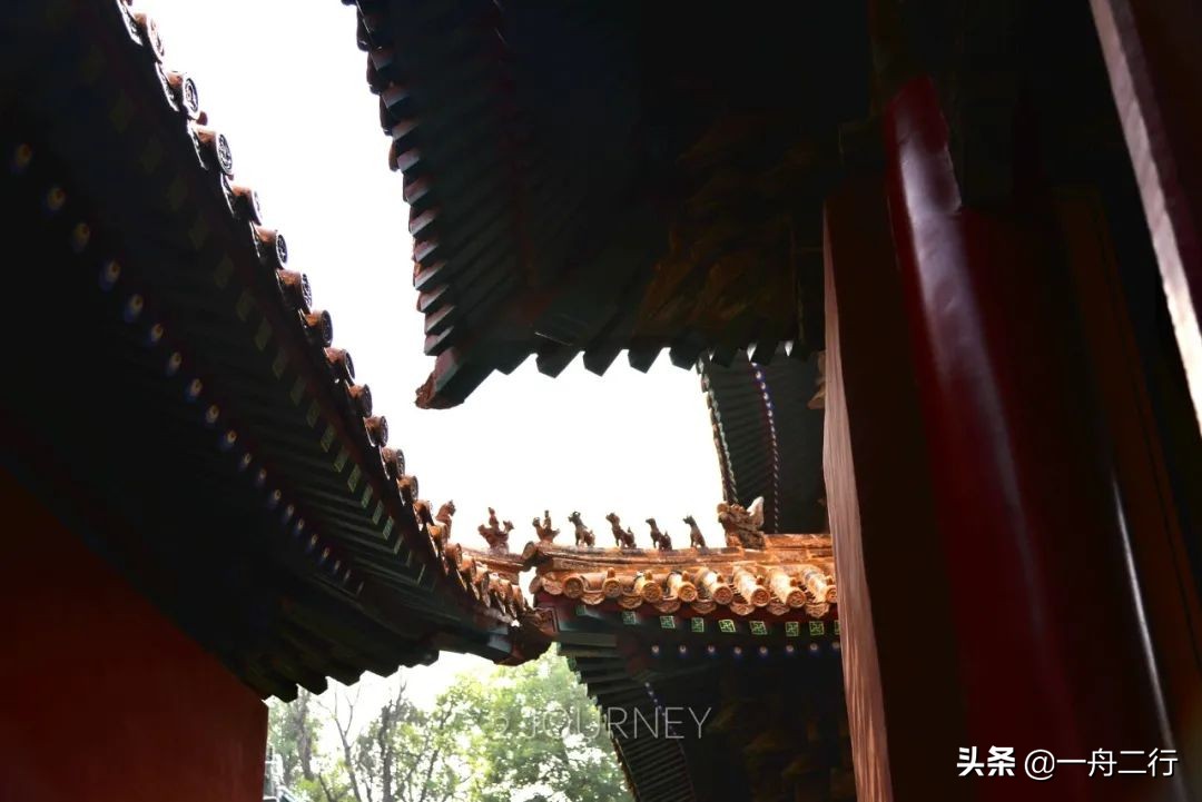 初冬的邂逅曲阜孔庙,游曲阜孔庙发朋友圈