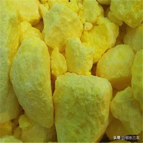 农村怎么防止家里进蛇,家里有蛇怎么驱赶最有效