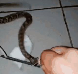 笑不停会怎么样,玩魔方的个个都是天才