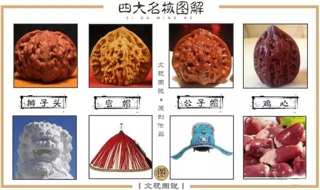 文玩核桃官帽和狮子头区别,文玩核桃官帽与狮子头区别