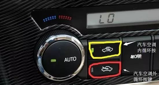 为什么老鼠喜欢藏在汽车发动机,老鼠为什么会钻到车里