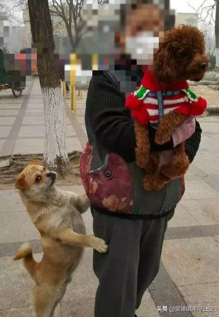 “割声带、截肢、电击，当爱变成我的噩梦”