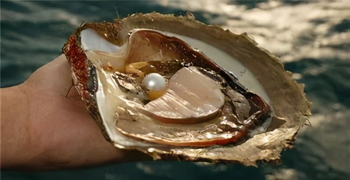 智慧美丽的珍珠皇后芬兰访谈——从向外到向内，活出精彩人生