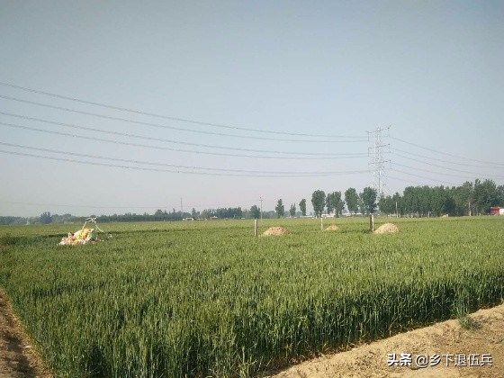 农村承包地里坟头多、难耕种，咋办？听听专业律师怎么说。