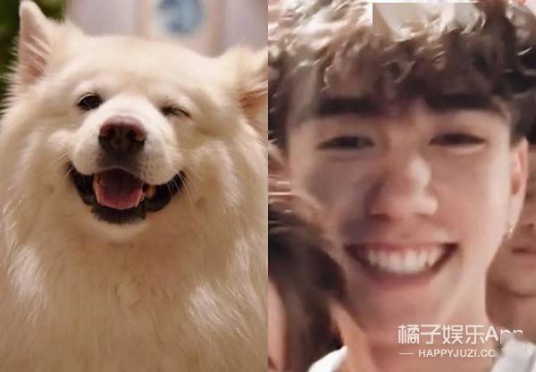 翻译被抓去选秀,翻译老师被抓到选秀