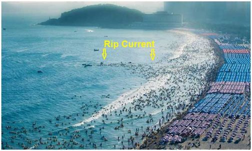 人生在世要必备的生活技能