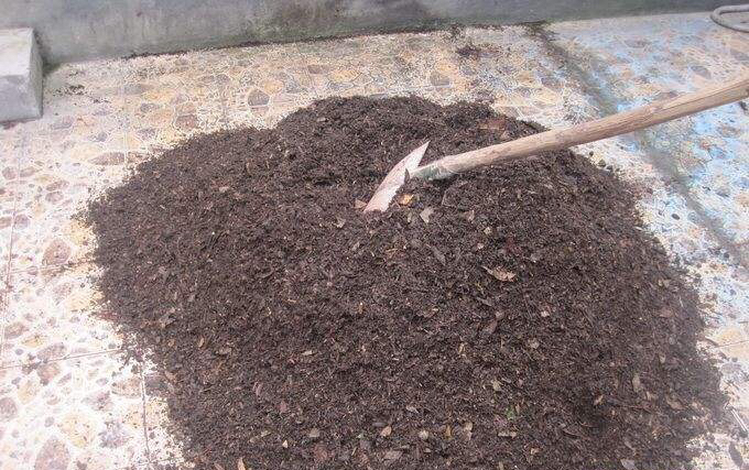 土壤里有虫可以养花吗?一闷,二晒,三消毒,养花赞,长得旺