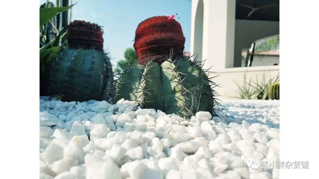 阿那亚网红打卡地怎么发朋友圈,打卡阿那亚海滩