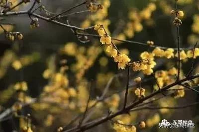 紫檀华都北院这个小区怎么样,郑州紫檀华都北院值不值得入手