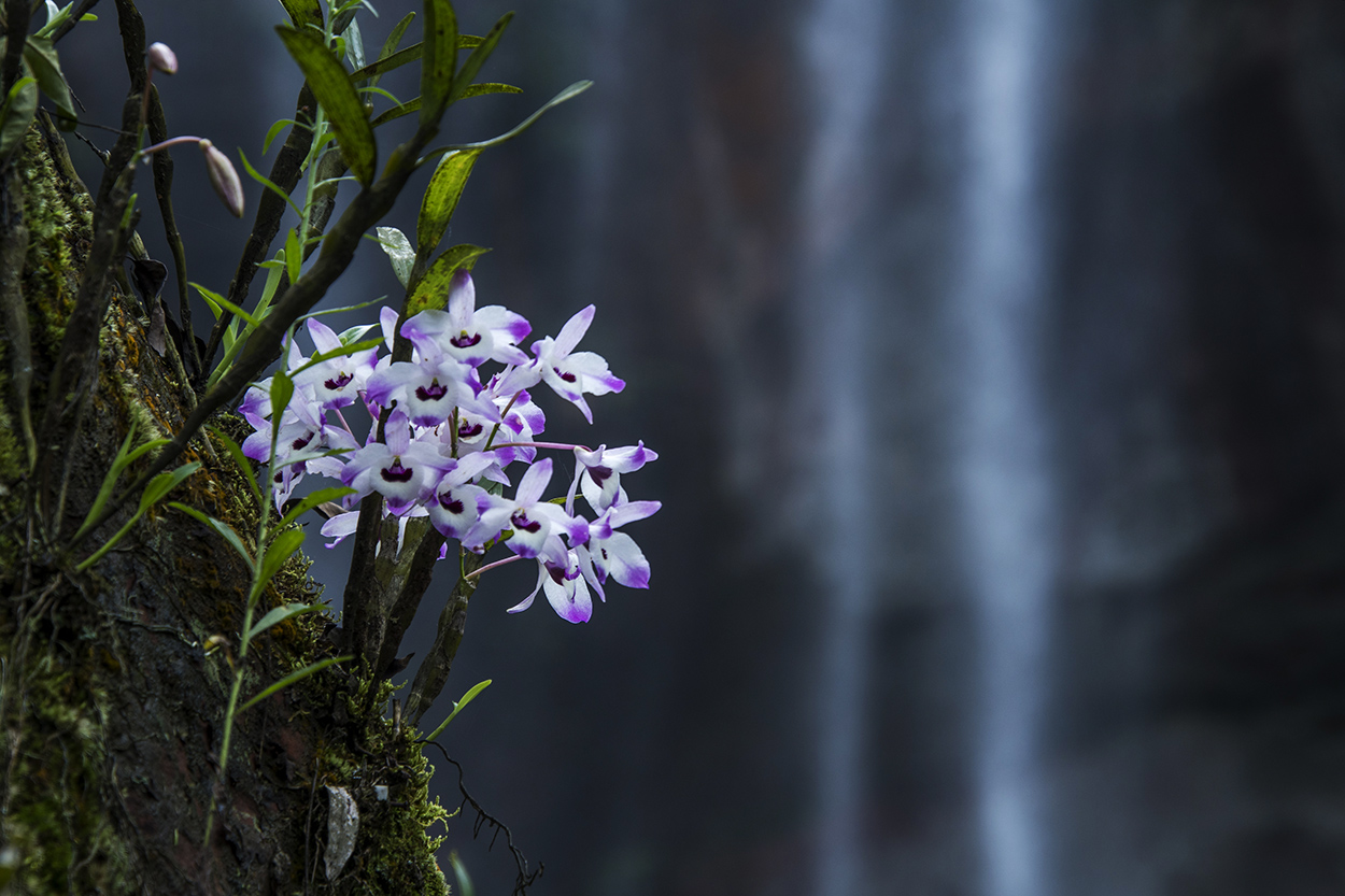 omg口红一哥,omg口红在哪里