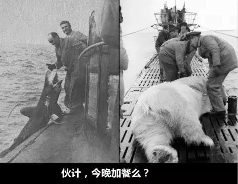 谈谈部队的伙食,谈谈部队伙食