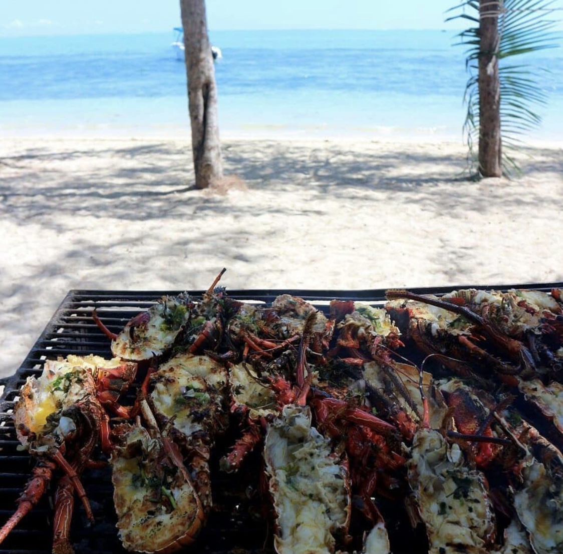 毛里求斯自由行准备,毛里求斯旅游6天5晚