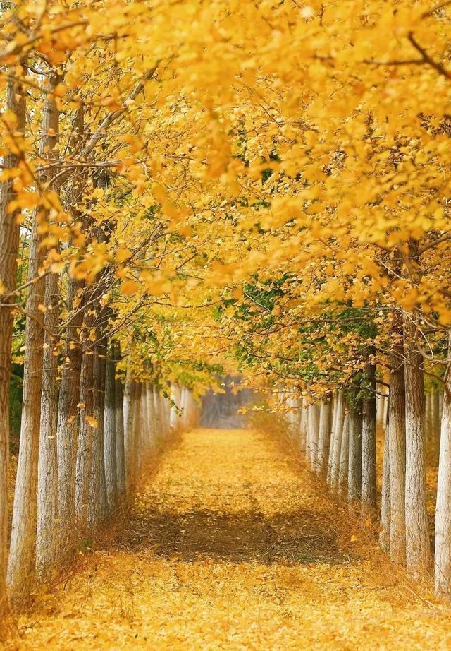 辽宁有美丽的小镇,辽宁有个小城市