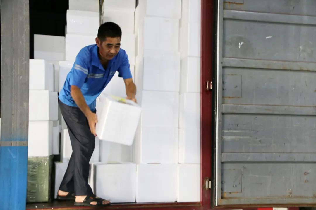 你的冰淇淋再也不怕化了！这样包装冰冻时间可达70小时