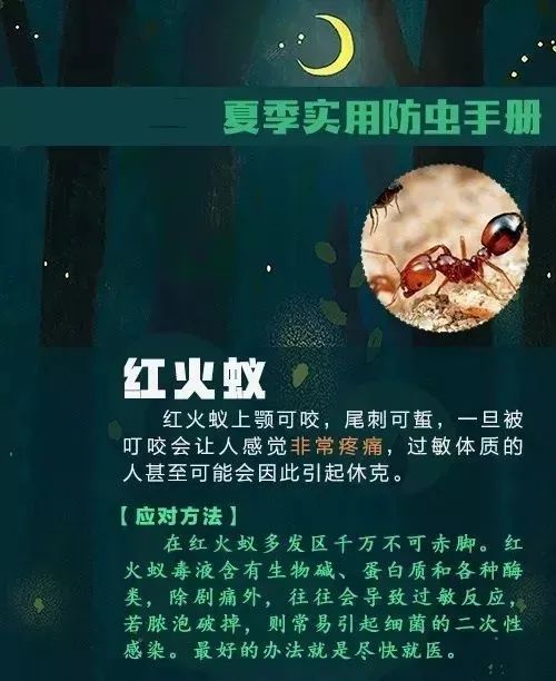 7岁孩子随手拍虫,7岁娃拍死一只虫险烂脸