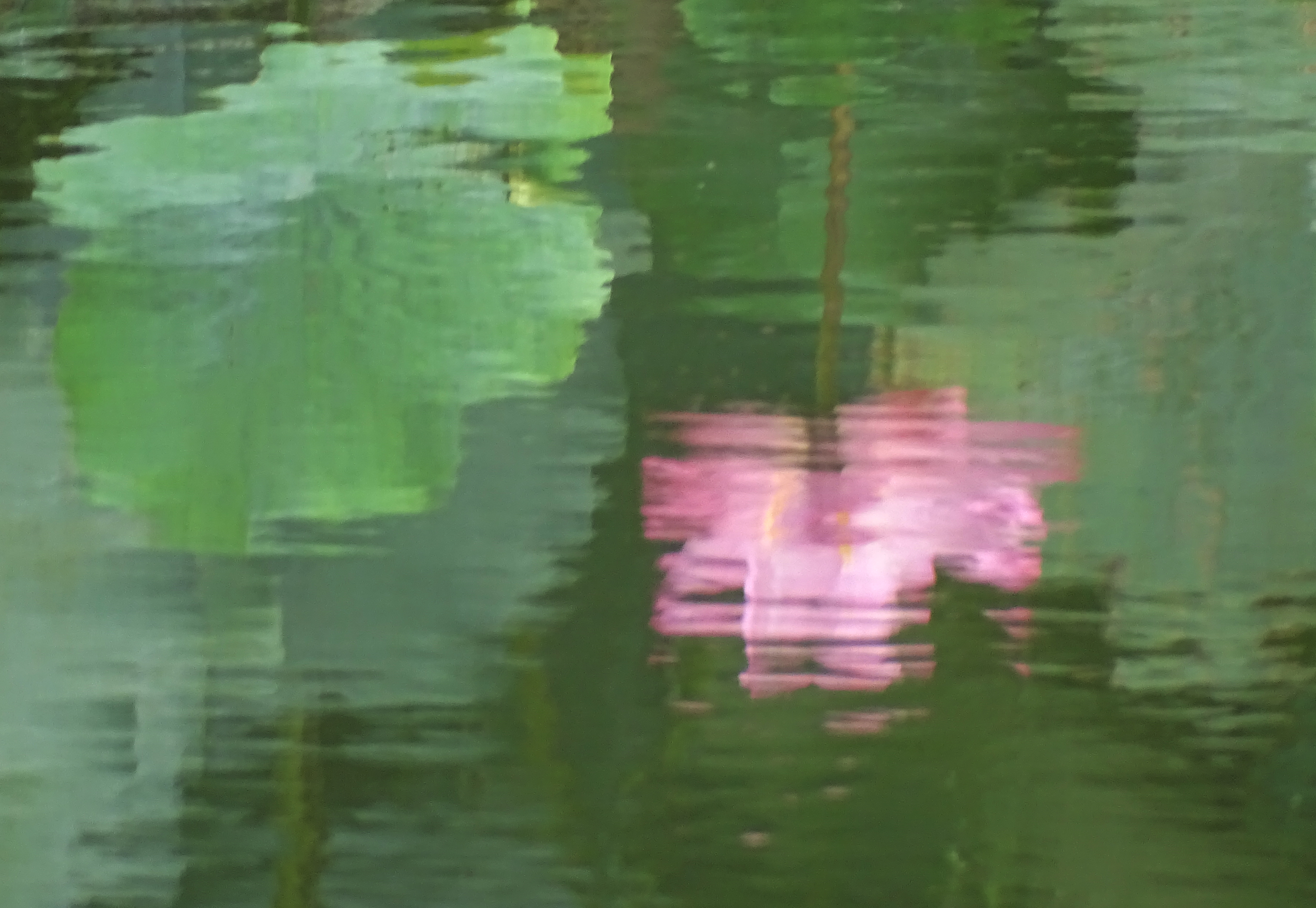 索尼dsc-hx400拍飞机效果,索尼dsc-hx400照片调色