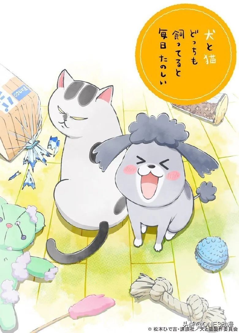 2020年11月新番时间表,2021年10月新番