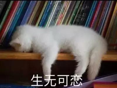 买家具跑去广东佛山划算吗,买家具东奔西走