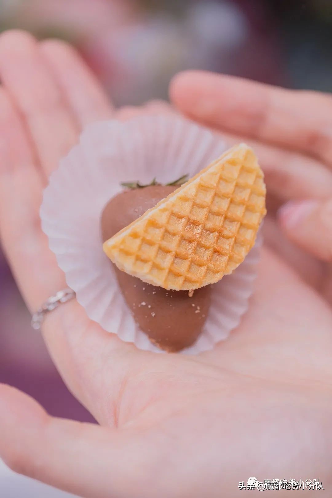 17元/颗的隐形草莓，荷兰来的