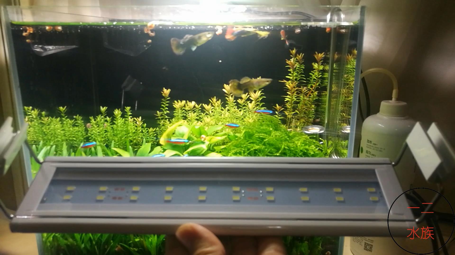 草缸可以不用灯吗,草缸用t5还是t8的灯管