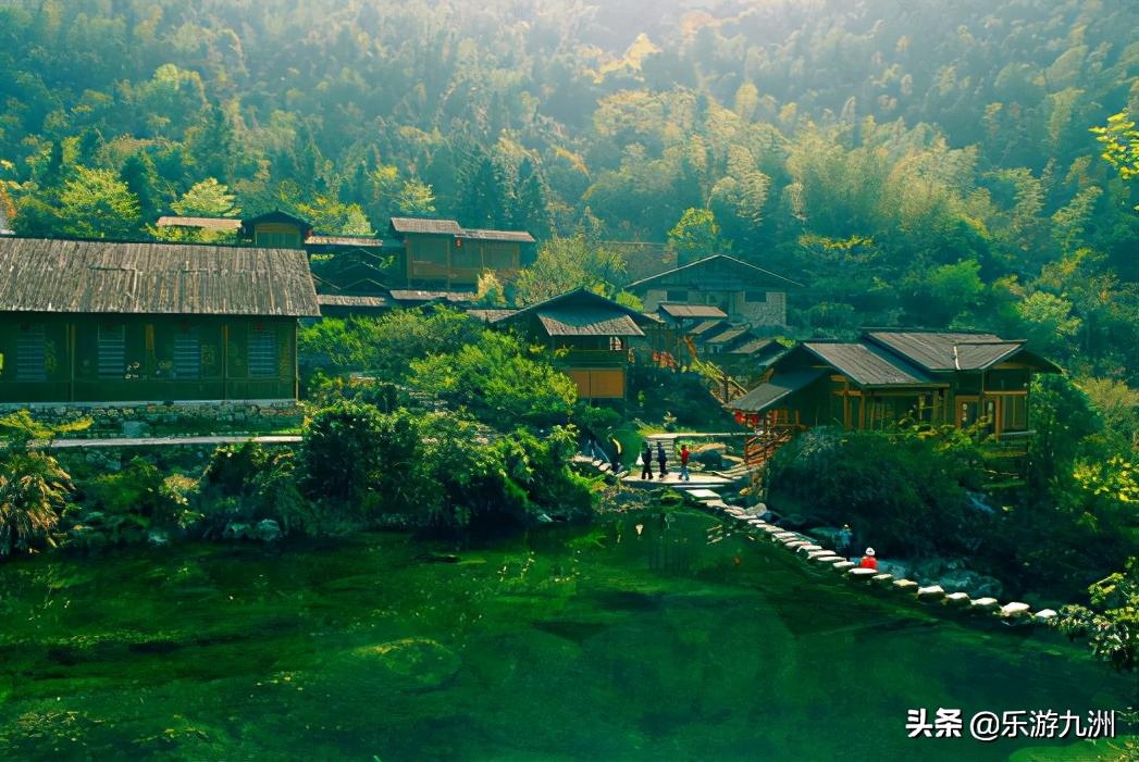 一串香蕉的故事,一串香蕉什么意思