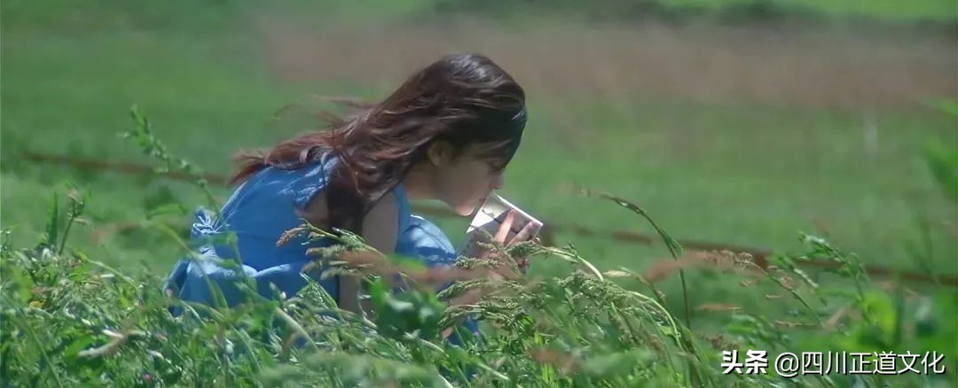 值得看的电影春天,春天的电影名字